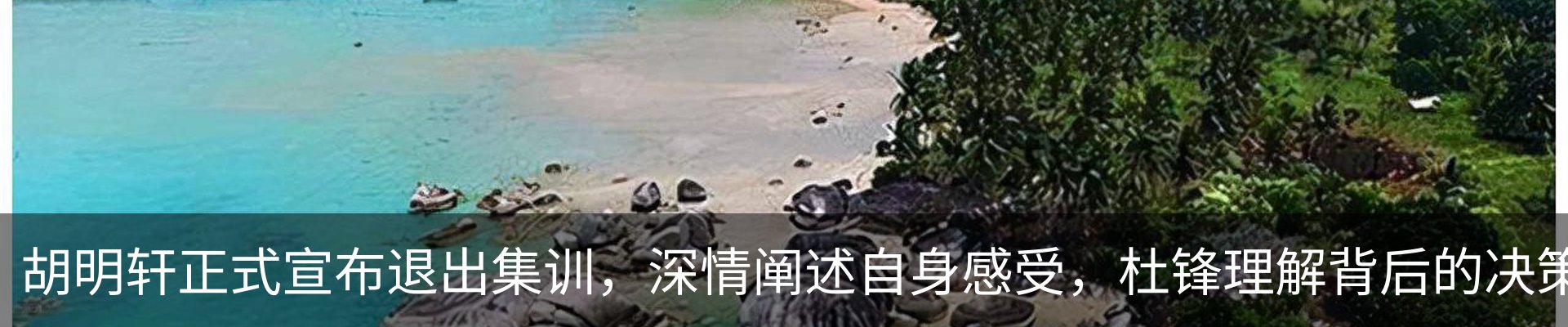 最新动态