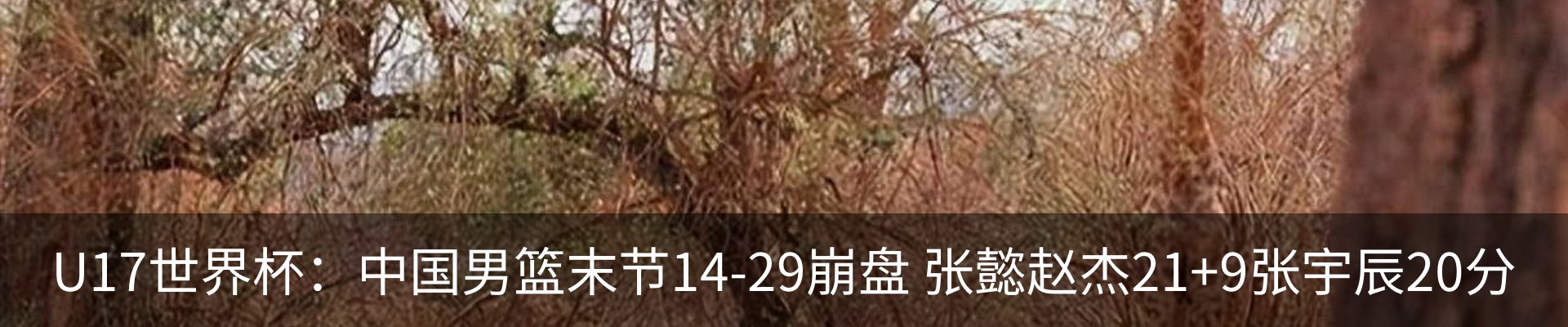 最新动态